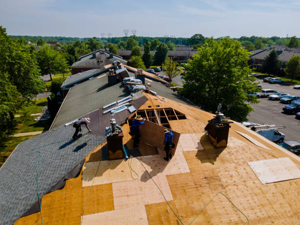 Best Storm Damage Roof Repair  in Listoga, CA