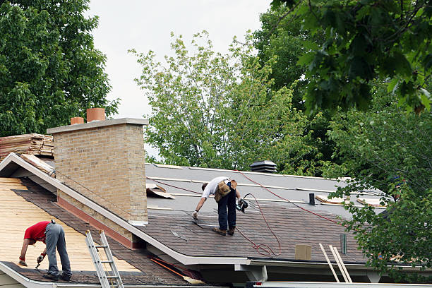 Best Roof Gutter Cleaning  in Listoga, CA